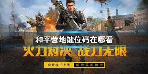 和平营地最新爆料,揭秘神秘项目，共创和谐未来