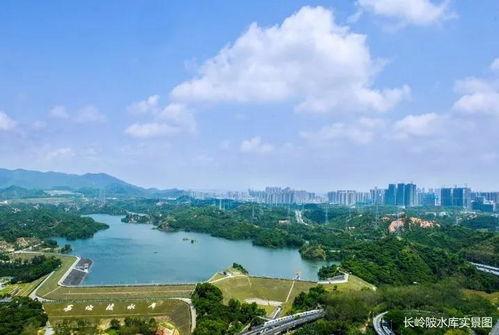 深圳头条新爆料最新消息,重大事件震撼揭晓！