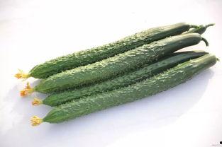 韩城网红新瓜最新爆料,揭秘背后惊人真相！