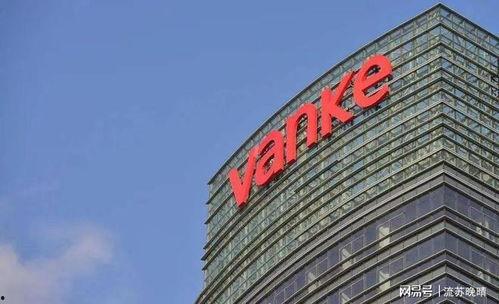 万科爆料最新消息视频播放,项目进展与未来规划深度解析