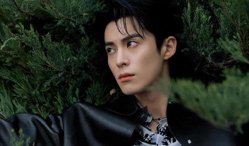 王鹤棣站姐爆料最新,站姐爆料揭秘幕后故事